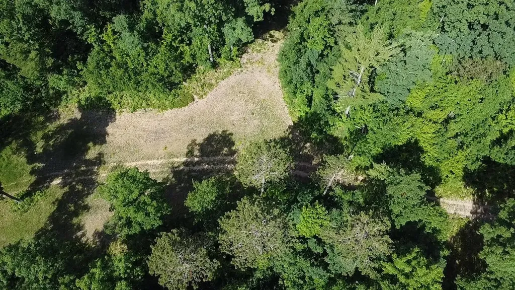 Vl 40 Acres Coates Highway Brown Township MI 49619