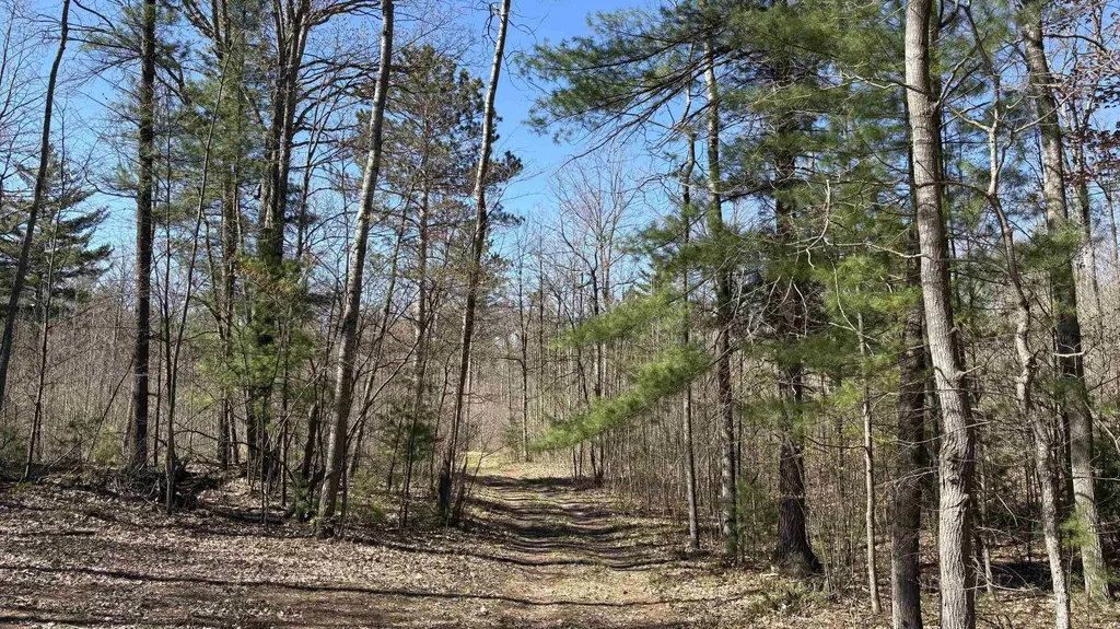 Vl 40 Acres Coates Highway Brown Township MI 49619