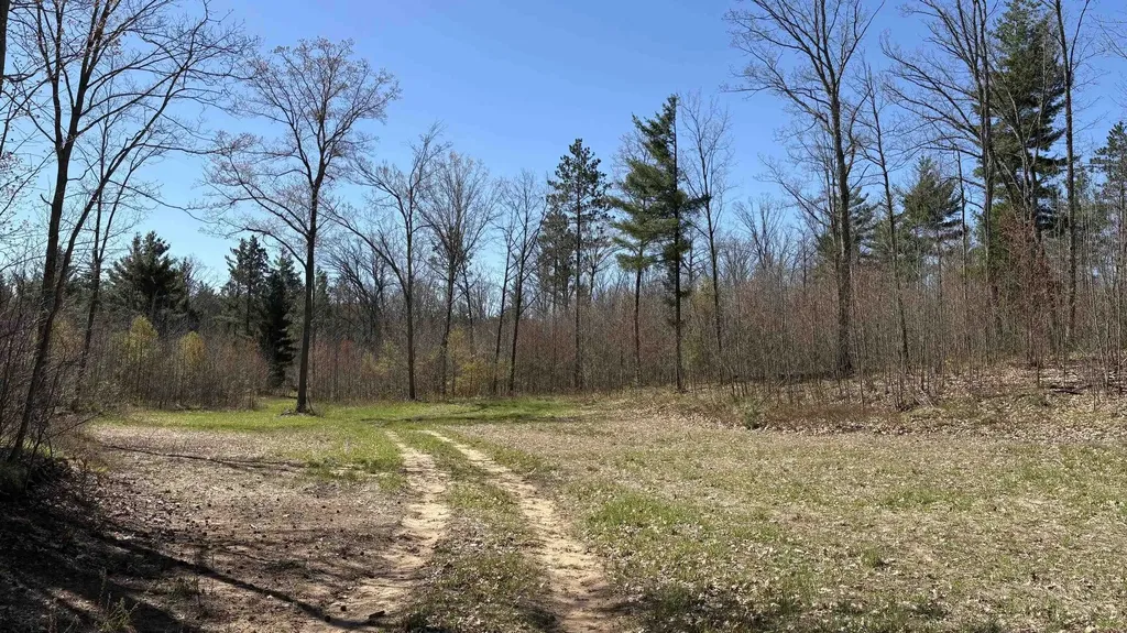 Vl 40 Acres Coates Highway Brown Township MI 49619