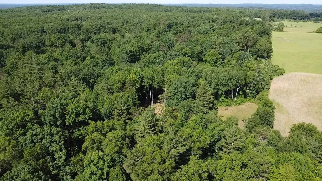 Vl 40 Acres Coates Highway Brown Township MI 49619