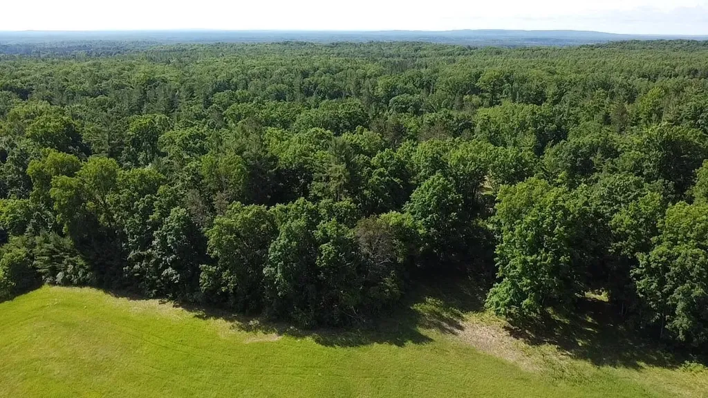 Vl 40 Acres Coates Highway Brown Township MI 49619