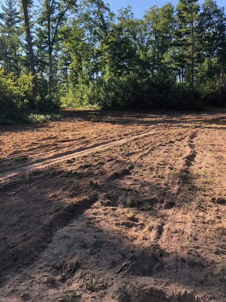 Vl 40 Acres Coates Highway Brown Township MI 49619