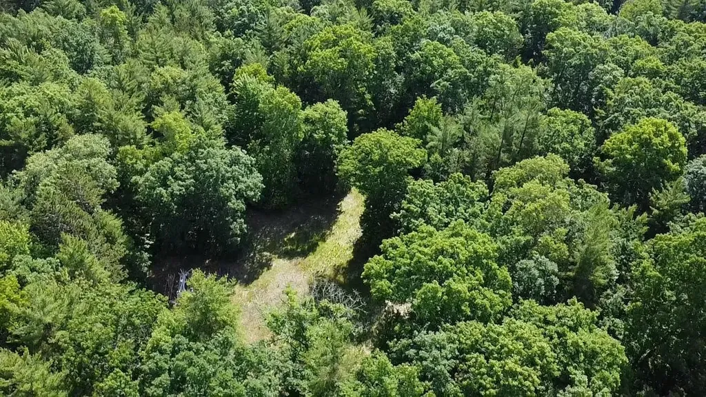 Vl 40 Acres Coates Highway Brown Township MI 49619