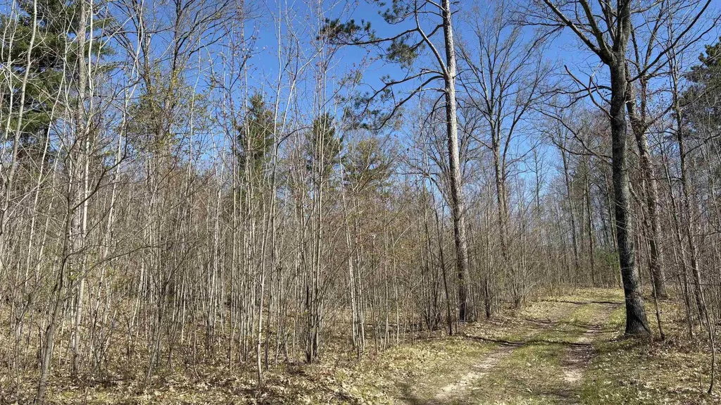 Vl 40 Acres Coates Highway Brown Township MI 49619
