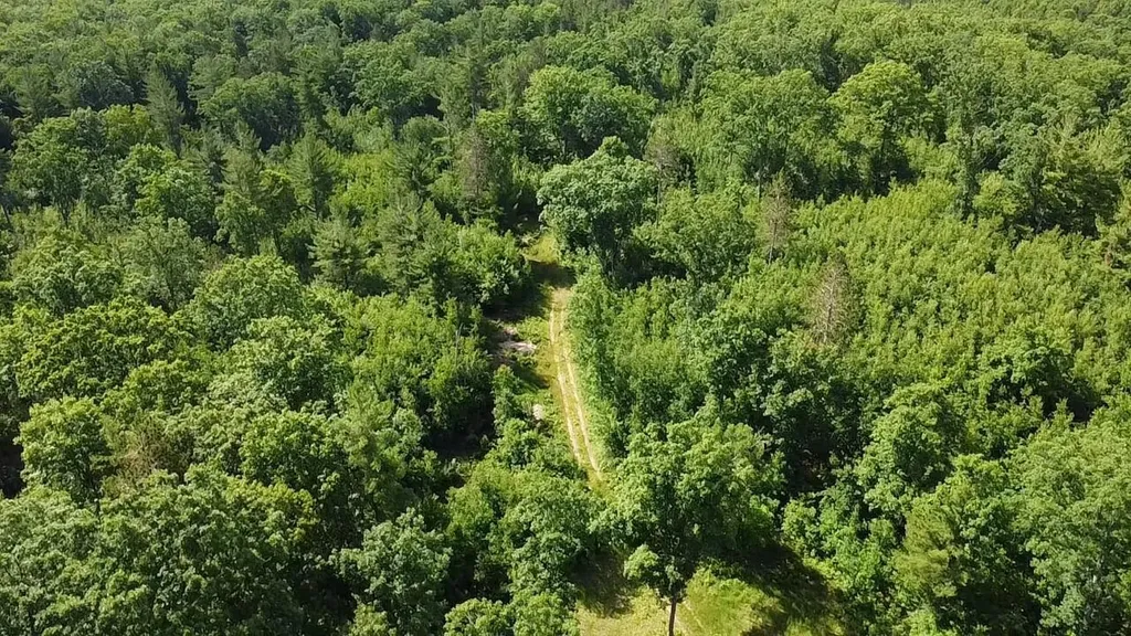 Vl 40 Acres Coates Highway Brown Township MI 49619
