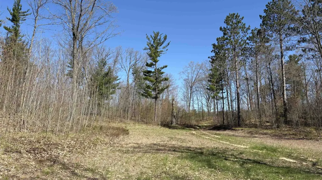 Vl 40 Acres Coates Highway Brown Township MI 49619