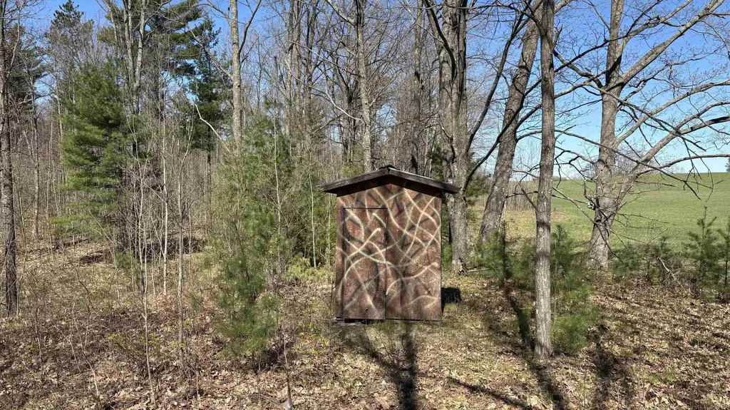Vl 40 Acres Coates Highway Brown Township MI 49619