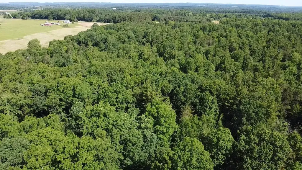 Vl 40 Acres Coates Highway Brown Township MI 49619