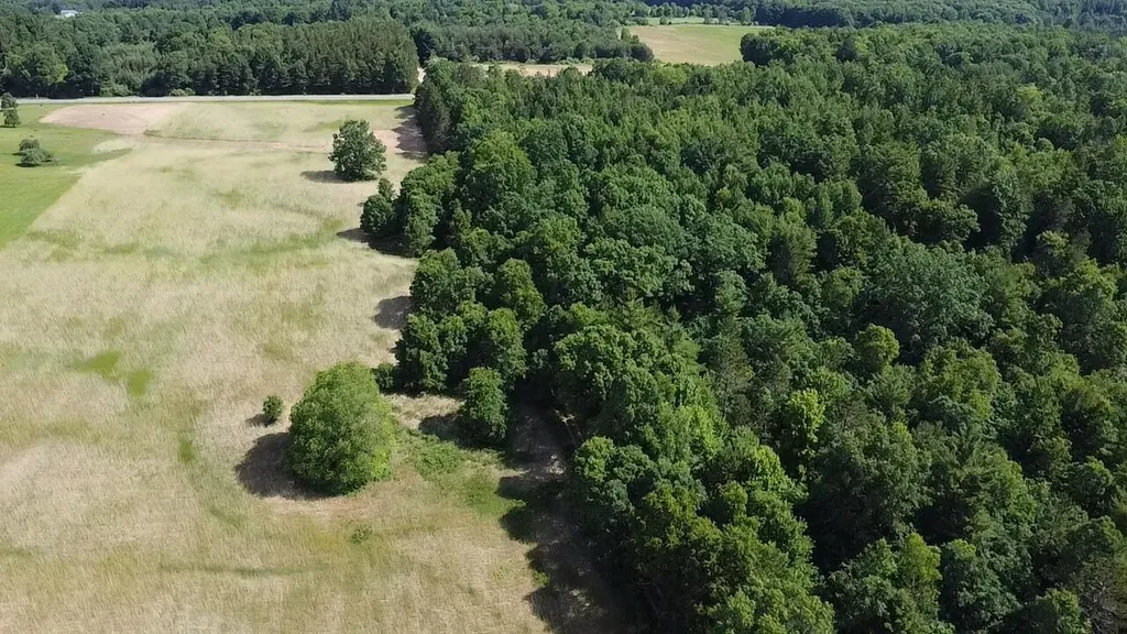 Vl 40 Acres Coates Highway Brown Township MI 49619