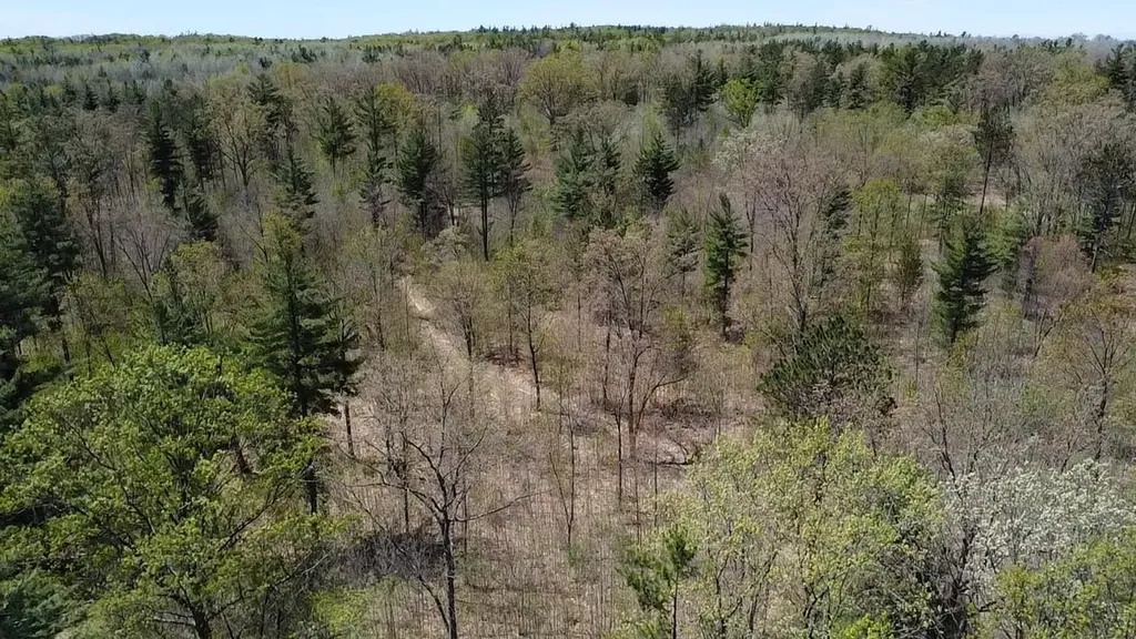 Vl 40 Acres Coates Highway Brown Township MI 49619