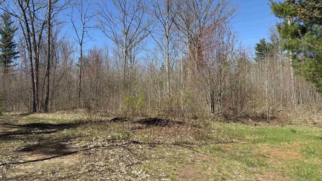 Vl 40 Acres Coates Highway Brown Township MI 49619