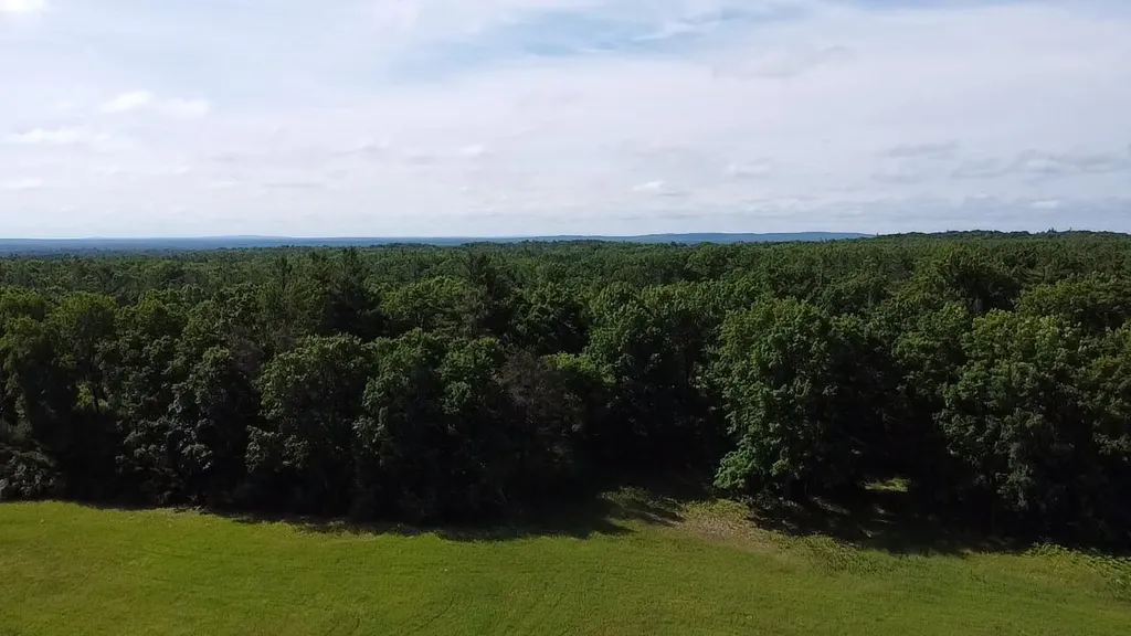 Vl 40 Acres Coates Highway Brown Township MI 49619