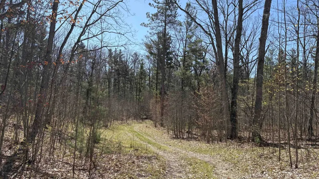 Vl 40 Acres Coates Highway Brown Township MI 49619