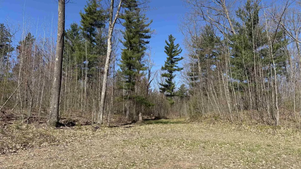 Vl 40 Acres Coates Highway Brown Township MI 49619