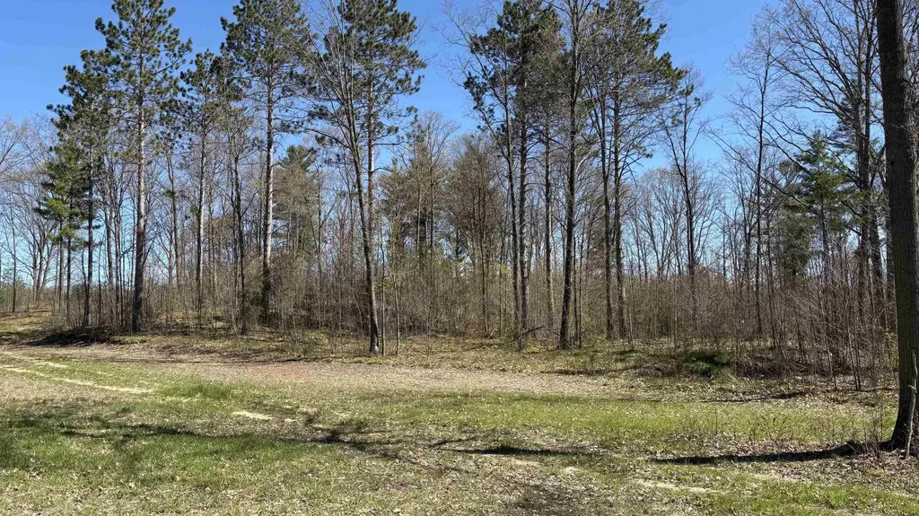 Vl 40 Acres Coates Highway Brown Township MI 49619