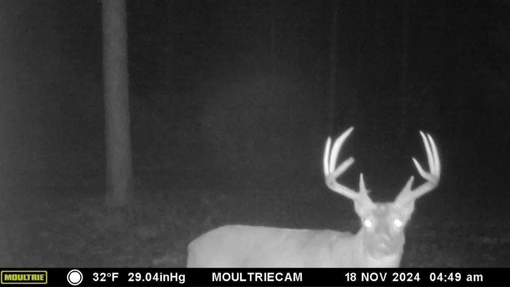 Vl 40 Acres Coates Highway Brown Township MI 49619