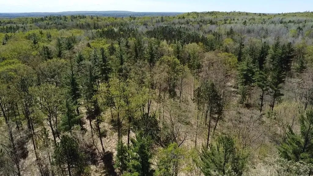 Vl 40 Acres Coates Highway Brown Township MI 49619