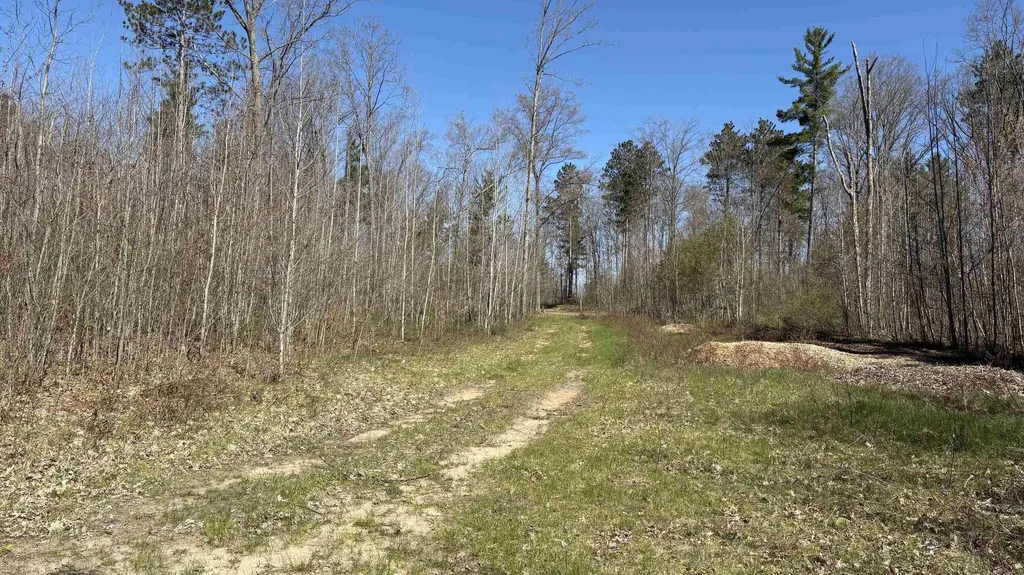 Vl 40 Acres Coates Highway Brown Township MI 49619