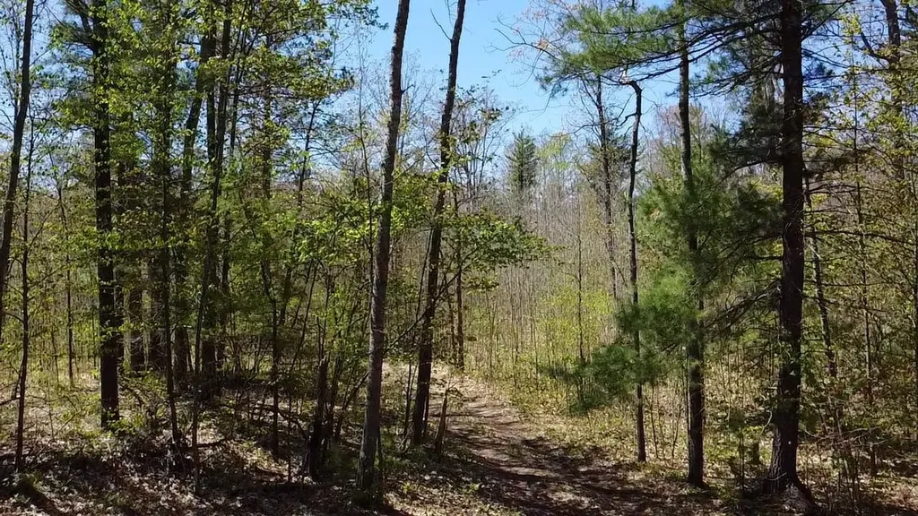 Vl 40 Acres Coates Highway Brown Township MI 49619