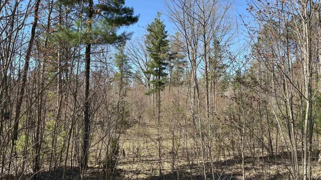 Vl 40 Acres Coates Highway Brown Township MI 49619