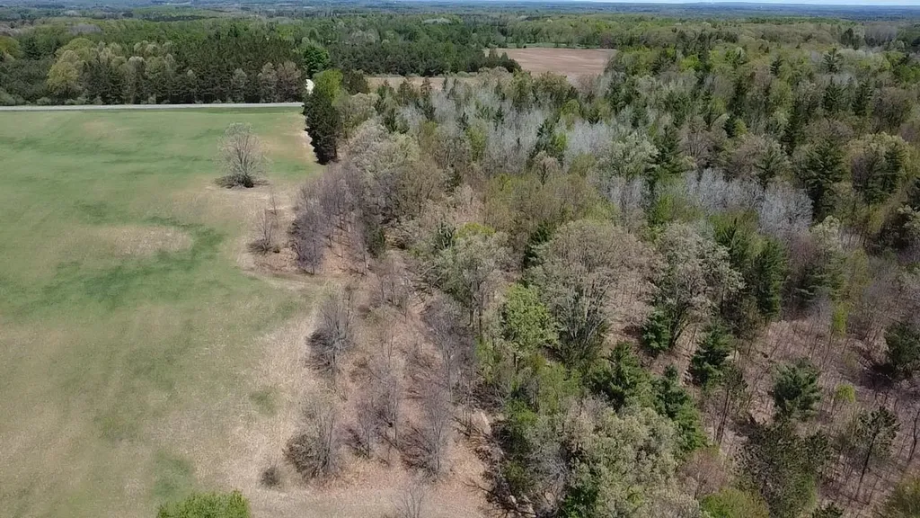 Vl 40 Acres Coates Highway Brown Township MI 49619