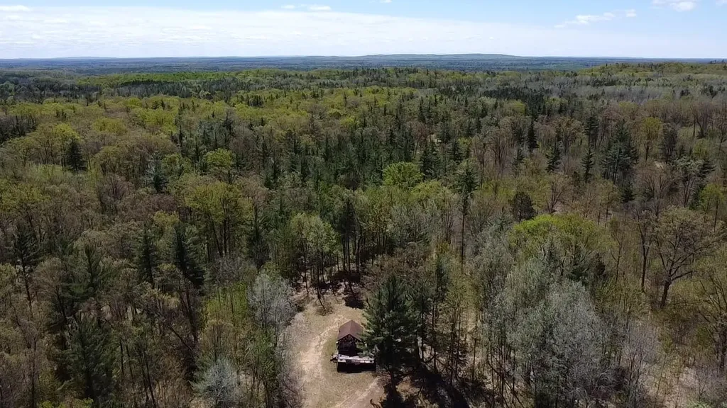 Vl 40 Acres Coates Highway Brown Township MI 49619
