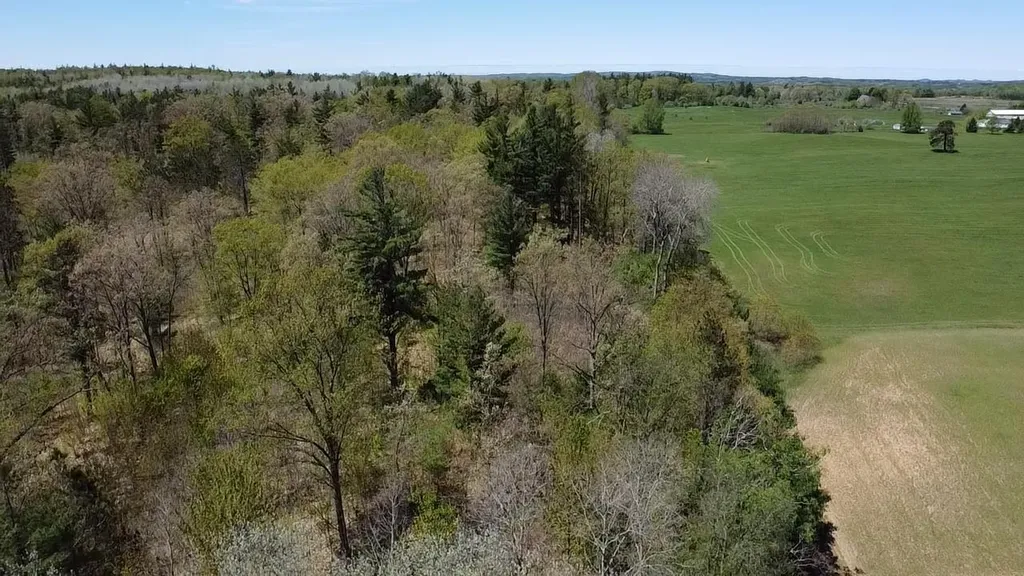 Vl 40 Acres Coates Highway Brown Township MI 49619