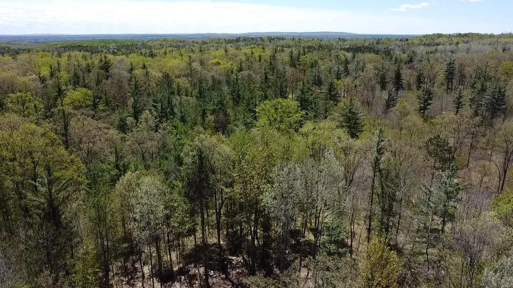 Vl 40 Acres Coates Highway Brown Township MI 49619