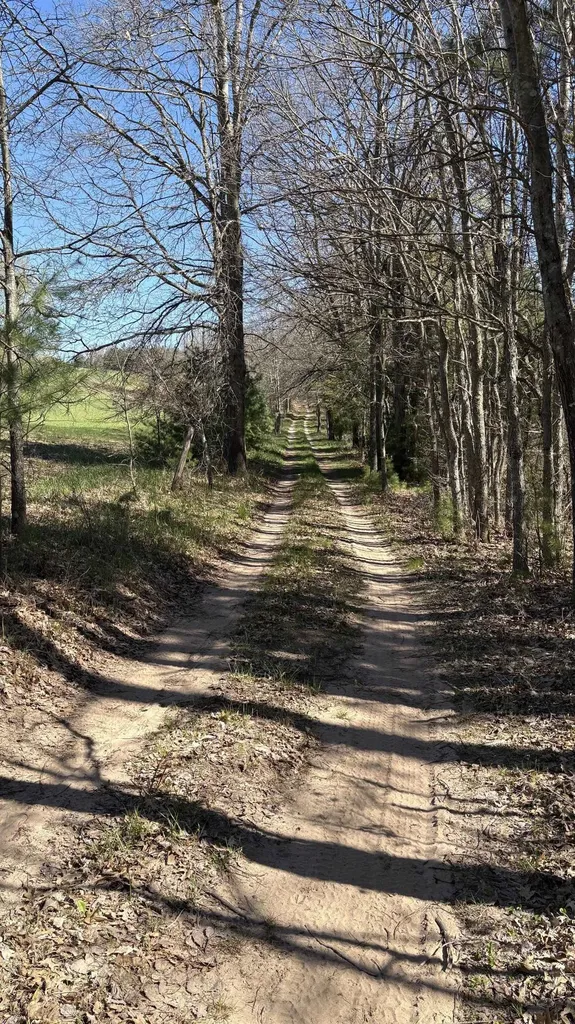 Vl 40 Acres Coates Highway Brown Township MI 49619