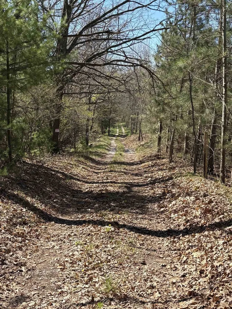 Vl 40 Acres Coates Highway Brown Township MI 49619