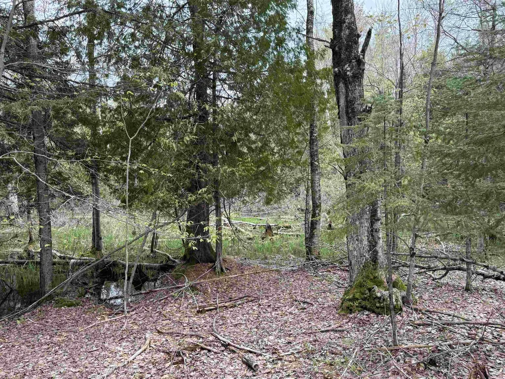 6473 Jeffrey Place Green Lake Township MI 49637