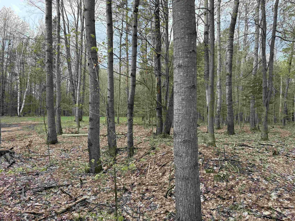 6473 Jeffrey Place Green Lake Township MI 49637