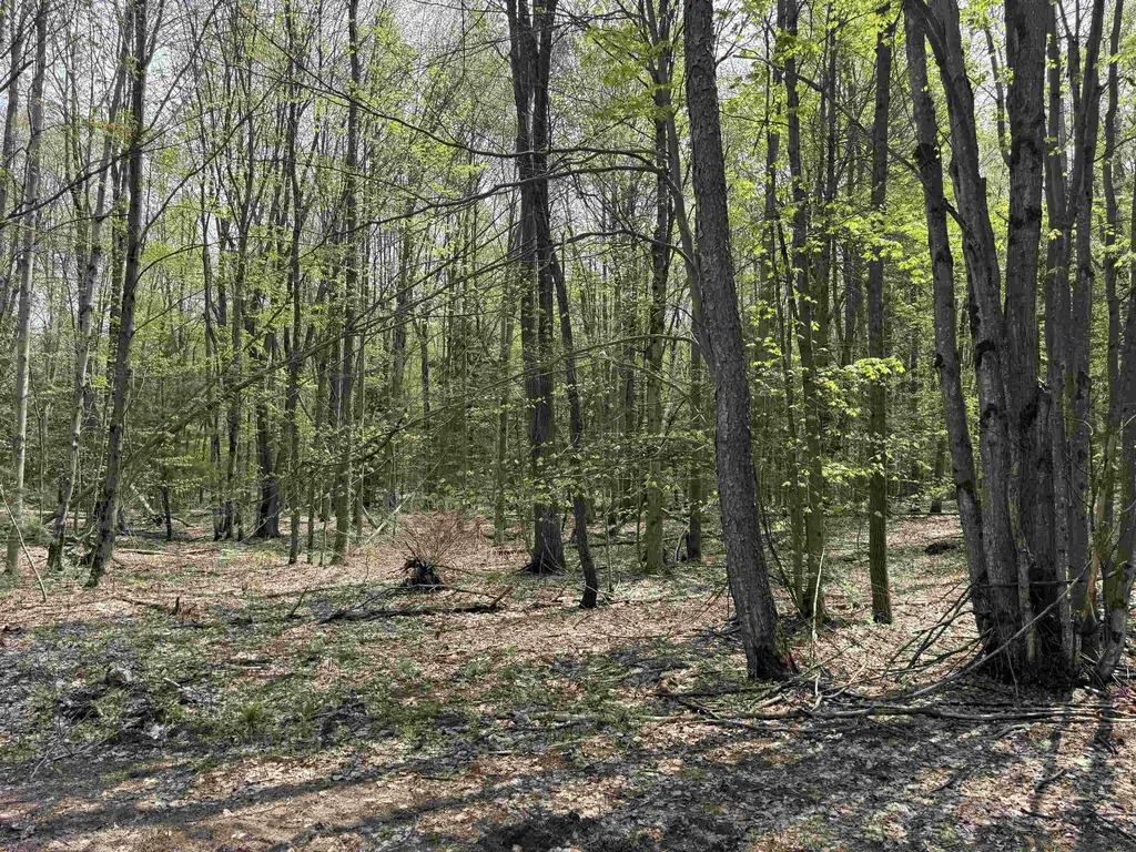 6473 Jeffrey Place Green Lake Township MI 49637