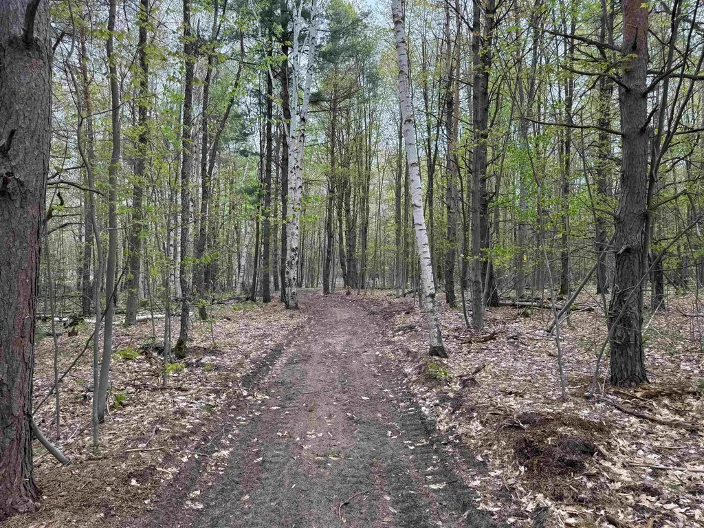 6473 Jeffrey Place Green Lake Township MI 49637