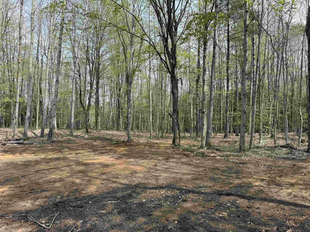 6473 Jeffrey Place Green Lake Township MI 49637