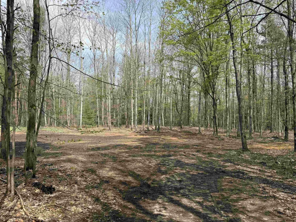 6473 Jeffrey Place Green Lake Township MI 49637