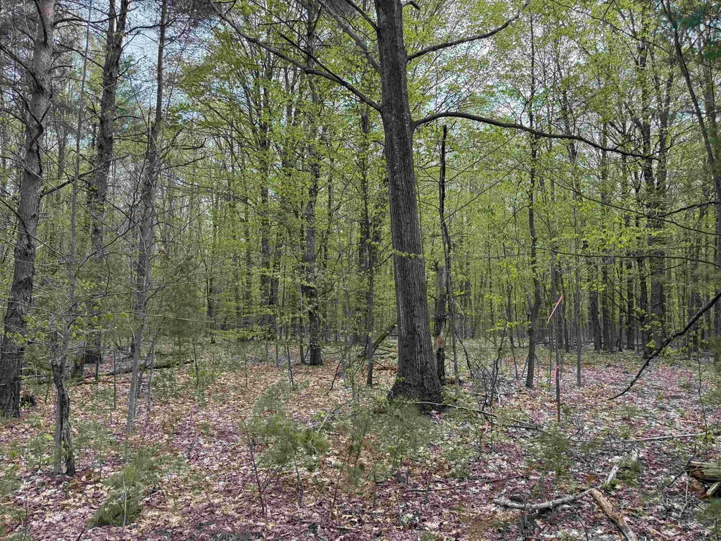 6473 Jeffrey Place Green Lake Township MI 49637