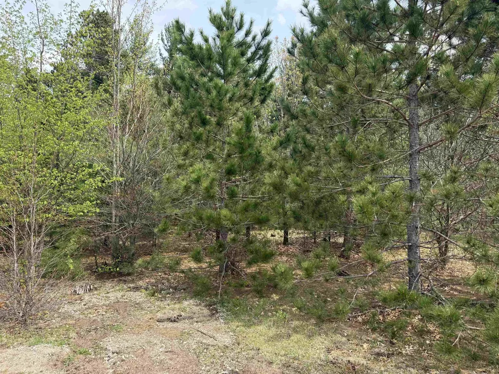 6473 Jeffrey Place Green Lake Township MI 49637