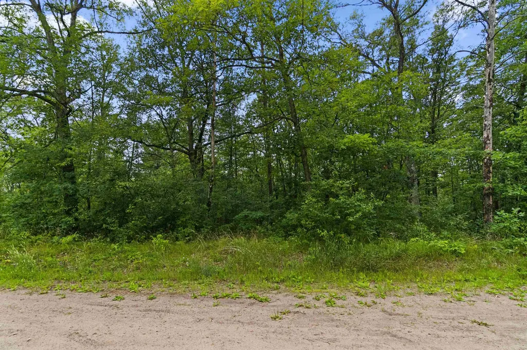 V/l W Pontiac Street Webber Township MI 49304
