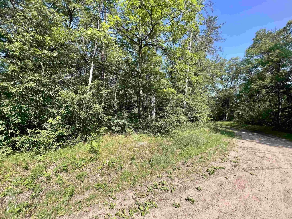 V/l W Pontiac Street Webber Township MI 49304