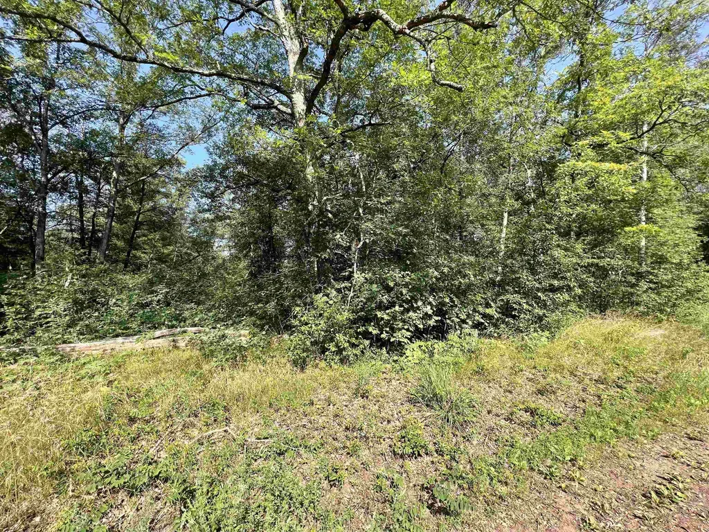 V/l W Pontiac Street Webber Township MI 49304