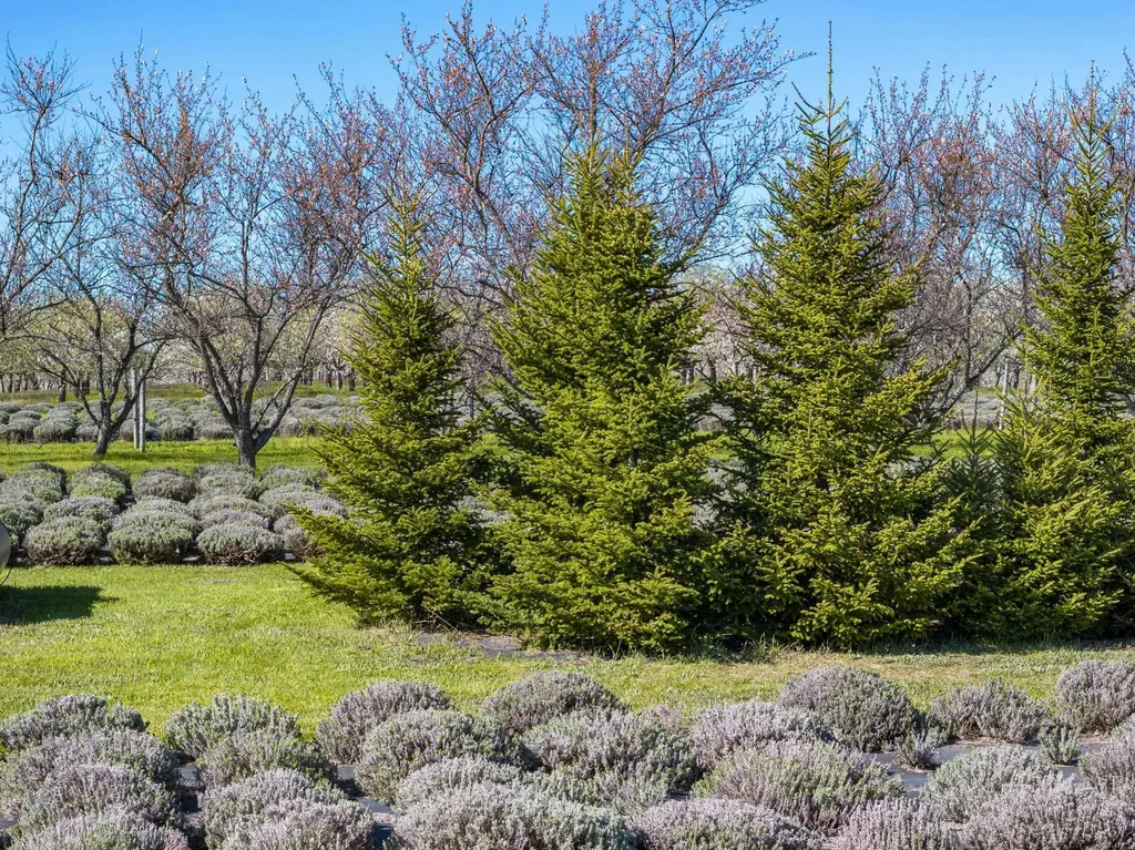 17770 Center Road Peninsula Township MI 49686