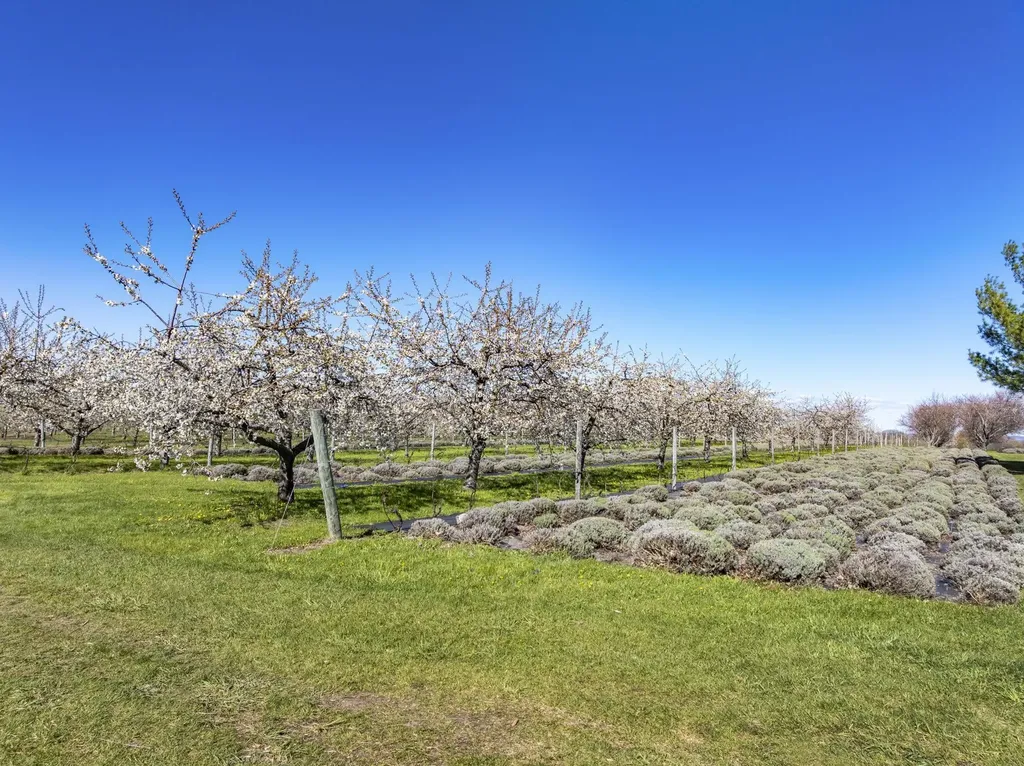17770 Center Road Peninsula Township MI 49686
