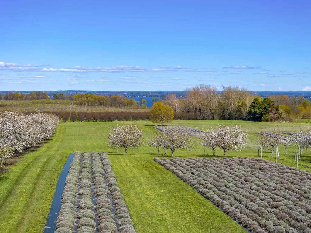 17770 Center Road Peninsula Township MI 49686