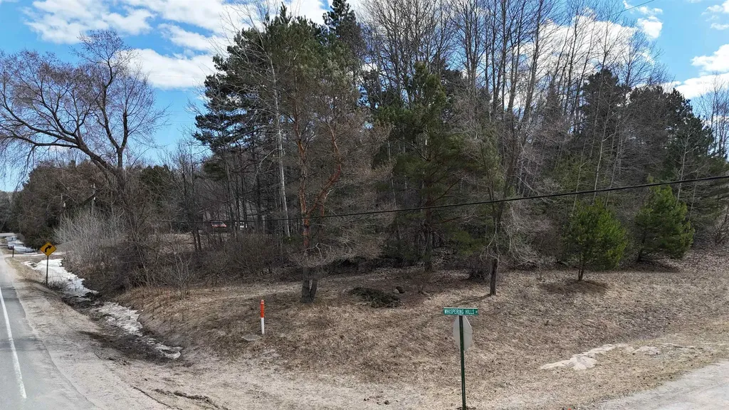 S Whispering Hills Drive Bingham Township MI 49684