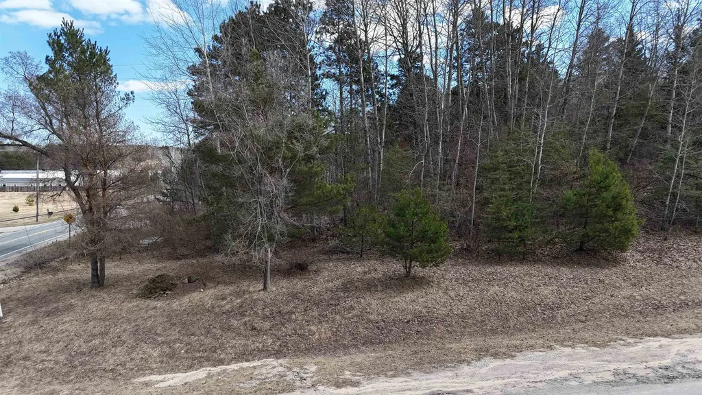 S Whispering Hills Drive Bingham Township MI 49684