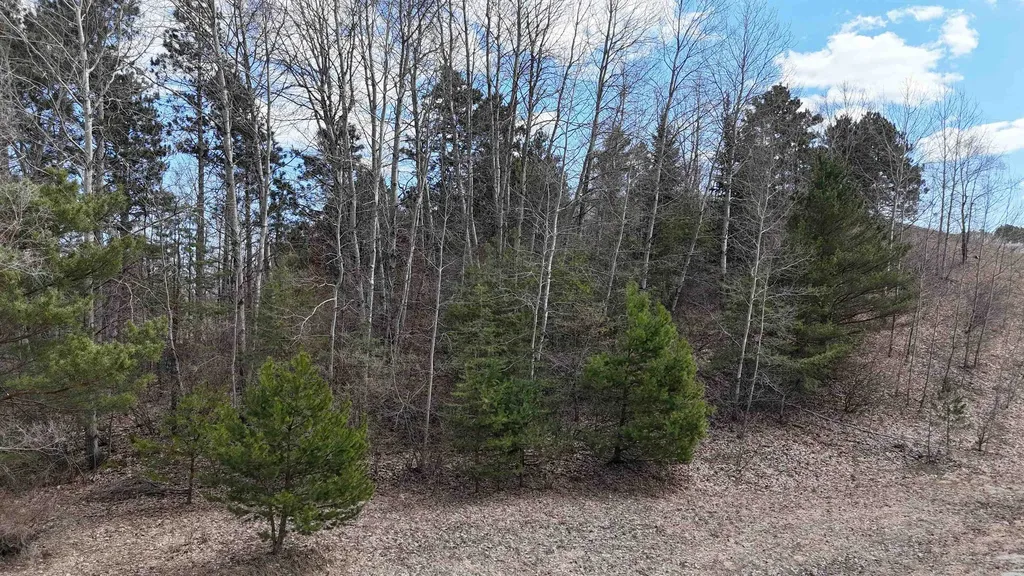 S Whispering Hills Drive Bingham Township MI 49684