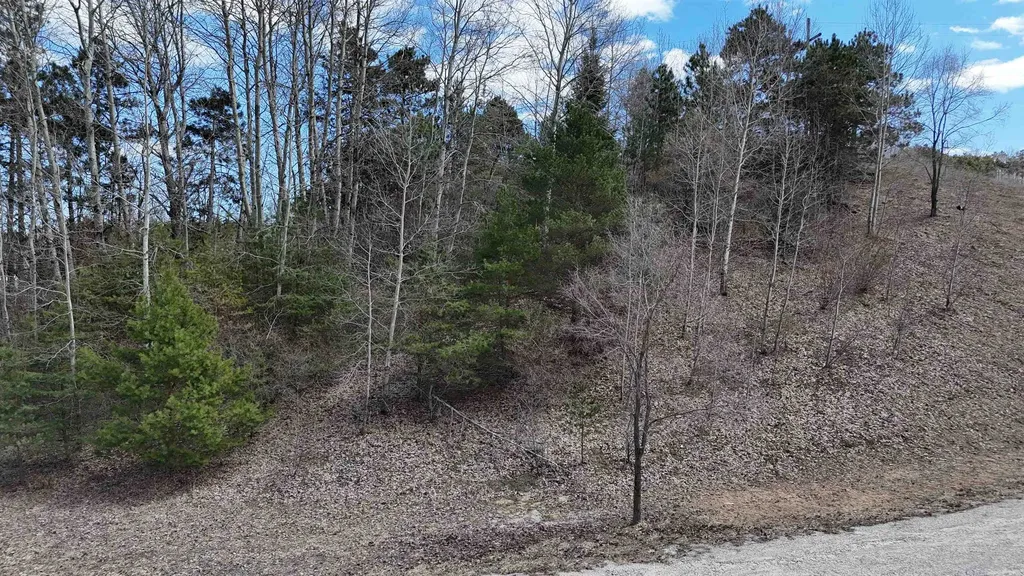 S Whispering Hills Drive Bingham Township MI 49684