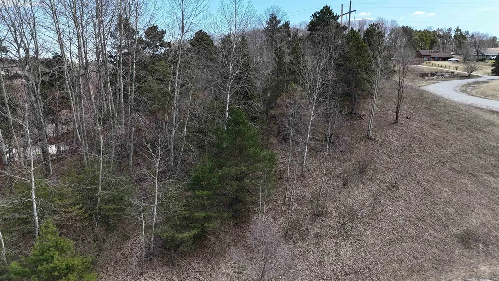 S Whispering Hills Drive Bingham Township MI 49684