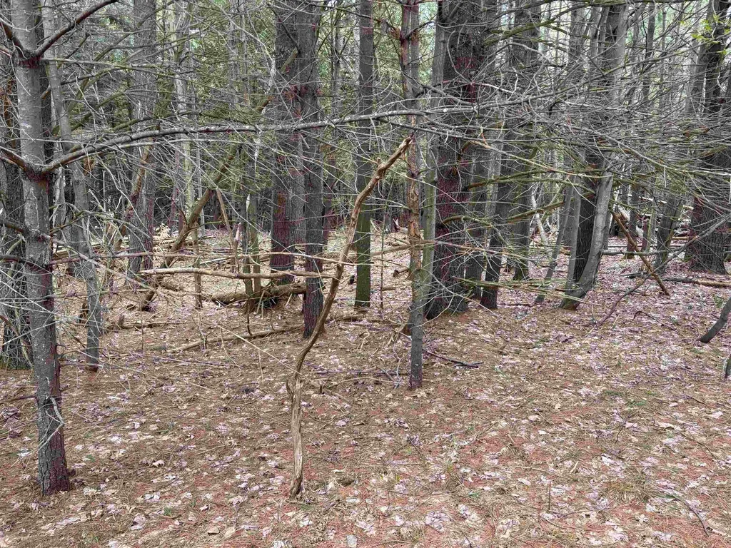 17536 Honor Highway Inland Township MI 49643